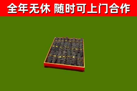 龙游回收海参